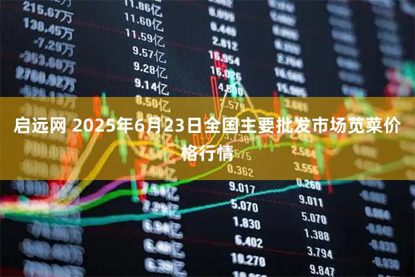 启远网 2025年6月23日全国主要批发市场苋菜价格行情