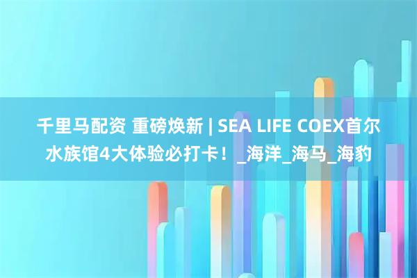 千里马配资 重磅焕新 | SEA LIFE COEX首尔水族馆4大体验必打卡！_海洋_海马_海豹